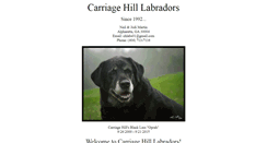 Desktop Screenshot of carriagehilllabs.com