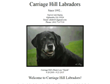 Tablet Screenshot of carriagehilllabs.com